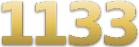 1133 logo